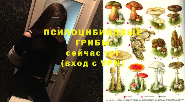 ECSTASY Краснотурьинск
