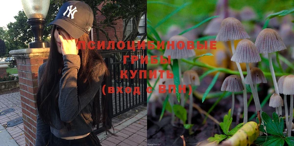 кокаин Краснослободск