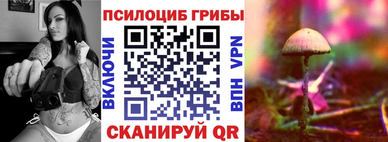 Галлюциногенные грибы MAGIC MUSHROOMS  Купить закладки  Лениногорск 